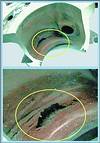 Figure 5. Erosion in rotary plug valve body induced by cavitation